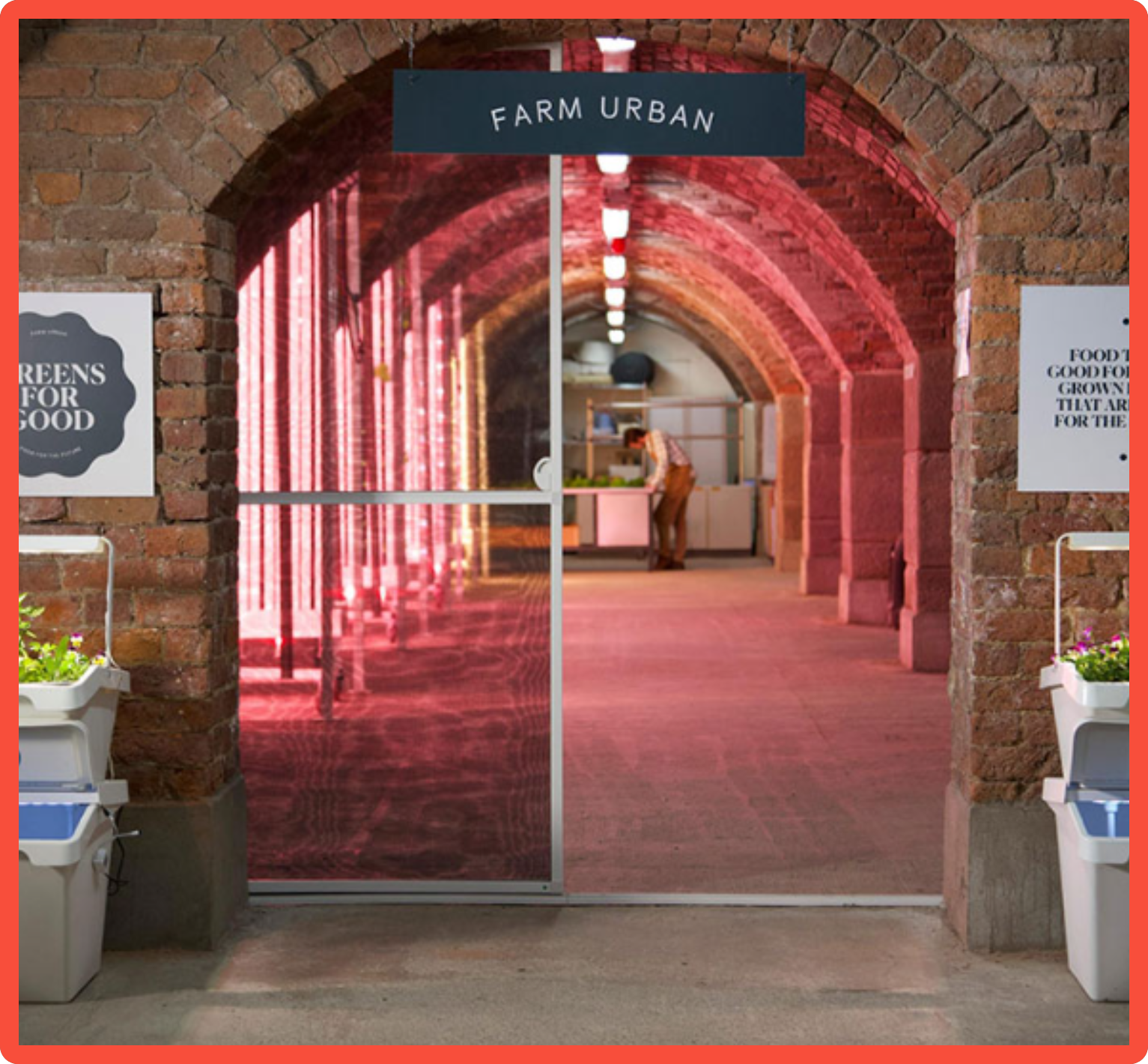 A peek into Farm Urban