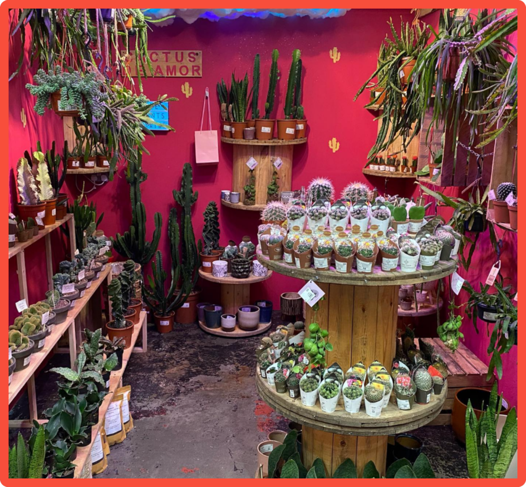 Image of inside Green Charm House of Plants' Instagram