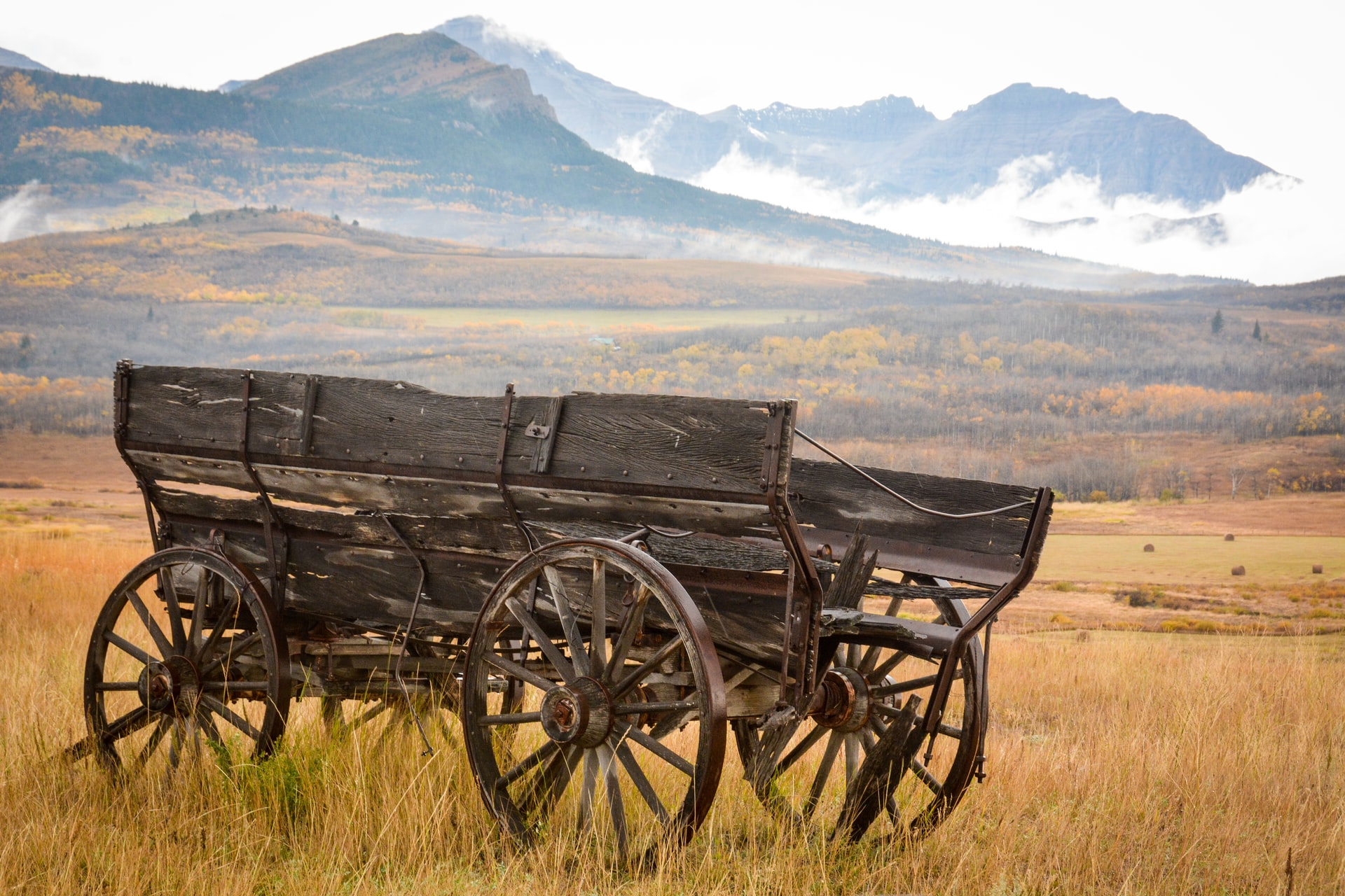 wooden-wagon-in-a-prairie
